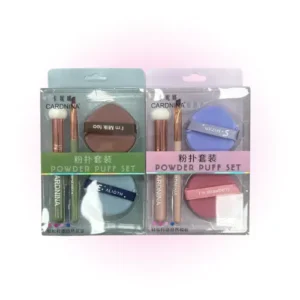 set de brochas+esponjas 10119