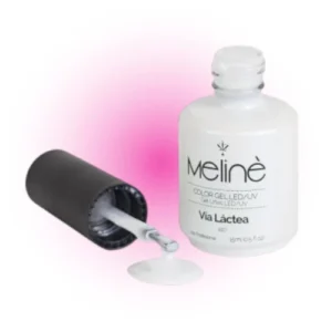 sanitizante 200ml nailshow